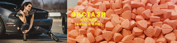 СК Алексин