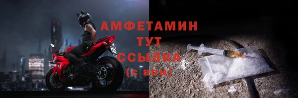 СК Алексин