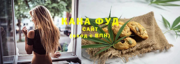 СК Алексин