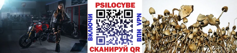 Псилоцибиновые грибы Cubensis  Камешково 